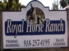 Grand Lake Horses