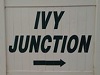 Ivy Junction 