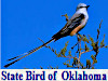 Birds of Oklahoma