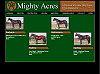 Mighty Acres  -  Pryor,Oklahoma  -  A division of Center Hills Farms . . . . . .