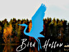 Bird Hollow Resort