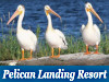 Pelican Landing Vacation Resort 