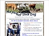 Perfect Stock Dog Training Program