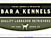 Welcome to Bar A Kennels