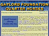 Gaylord Foundation Quarter Horses - Home